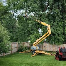 Mulching Services in Lockhart, TX